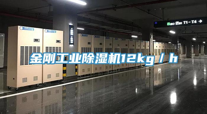 金剛工業香蕉视频国产12kg／h