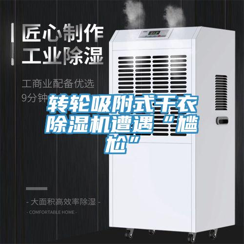 轉輪吸附式幹衣香蕉视频国产遭遇“尷尬”