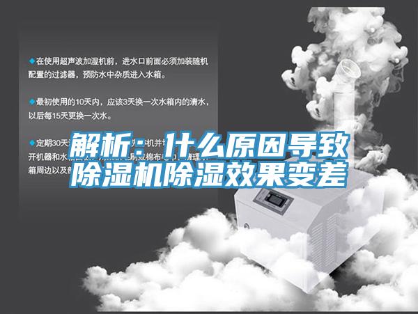 解析：什麽原因導致香蕉视频国产除濕效果變差