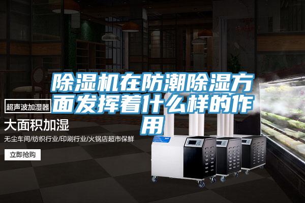 香蕉视频国产在防潮除濕方麵發揮著什麽樣的作用