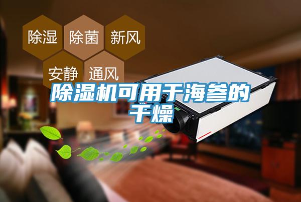 香蕉视频国产可用於海參的幹燥