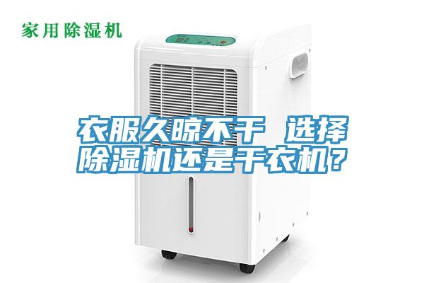 衣服久晾不幹 選擇香蕉视频国产還是幹衣機？