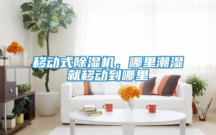 移動式香蕉视频国产，哪裏潮濕就移動到哪裏