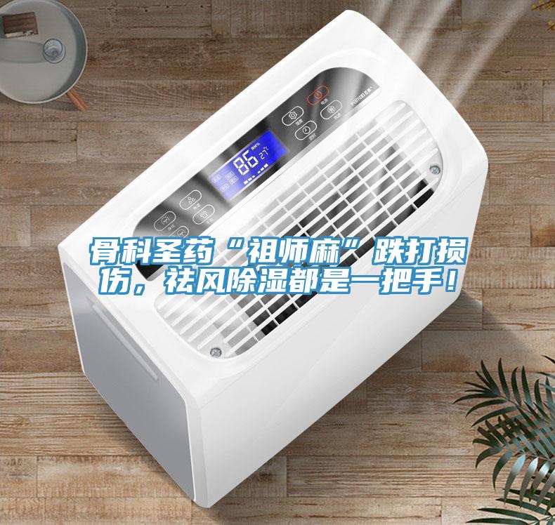 骨科聖藥“祖師麻”跌打損傷，祛風除濕都是一把手！