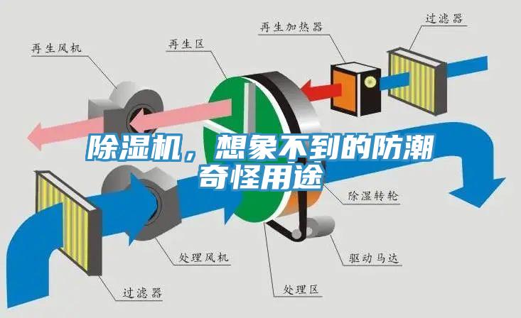 香蕉视频国产，想象不到的防潮奇怪用途