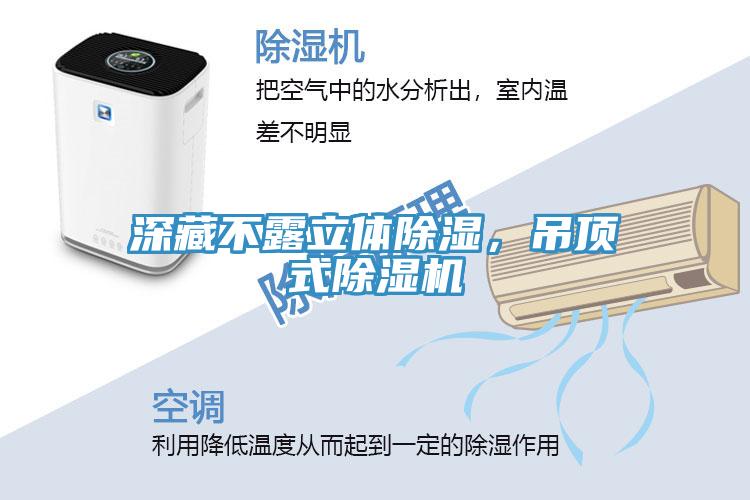 深藏不露立體除濕，吊頂式香蕉视频国产