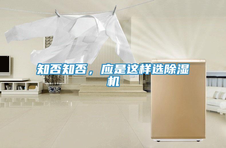 知否知否，應是這樣選香蕉视频国产
