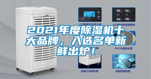 2021年度香蕉视频国产十大品牌，入選名單新鮮出爐！