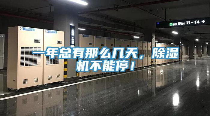 一年總有那麽幾天，香蕉视频国产不能停！