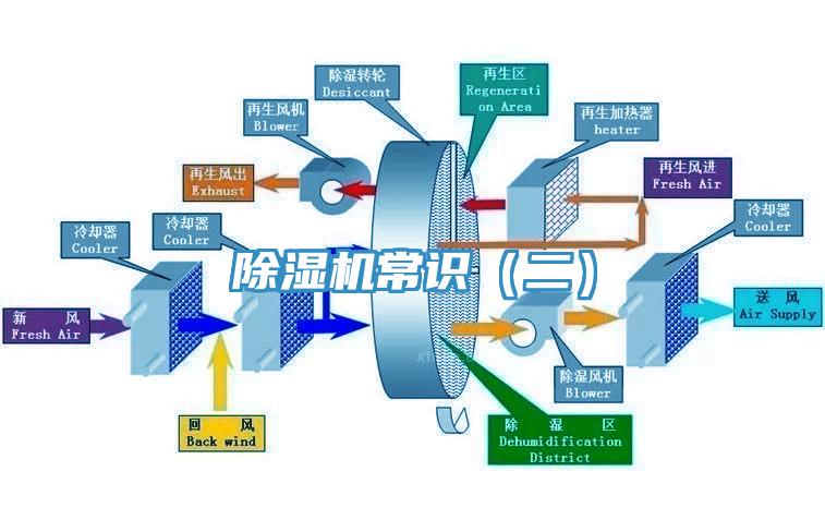 香蕉视频国产常識（二）