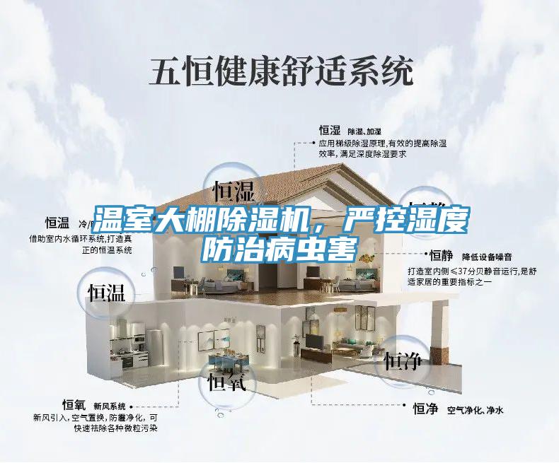 溫室大棚香蕉视频国产，嚴控濕度防治病蟲害