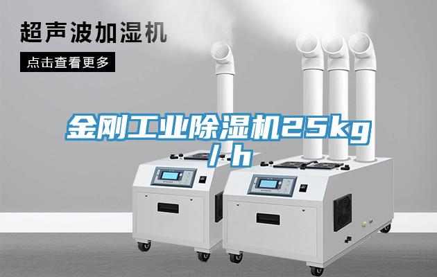 金剛工業香蕉视频国产25kg／h