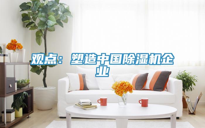 觀點：塑造中國香蕉视频国产企業