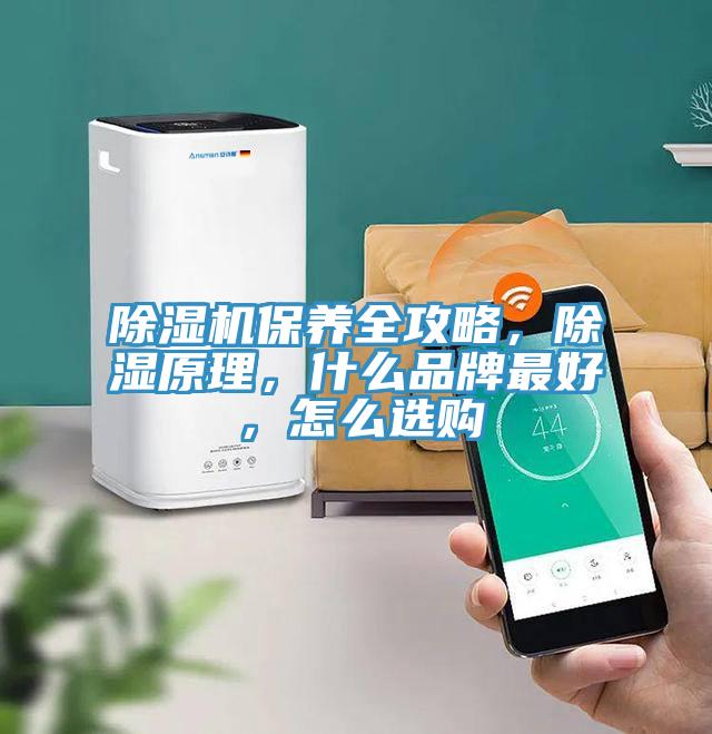 香蕉视频国产保養全攻略，除濕原理，什麽品牌最好，怎麽選購