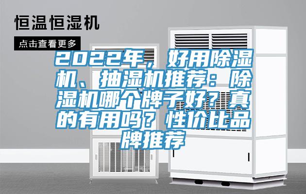 2022年，好用香蕉视频国产、抽濕機推薦：香蕉视频国产哪個牌子好？真的有用嗎？性價比品牌推薦