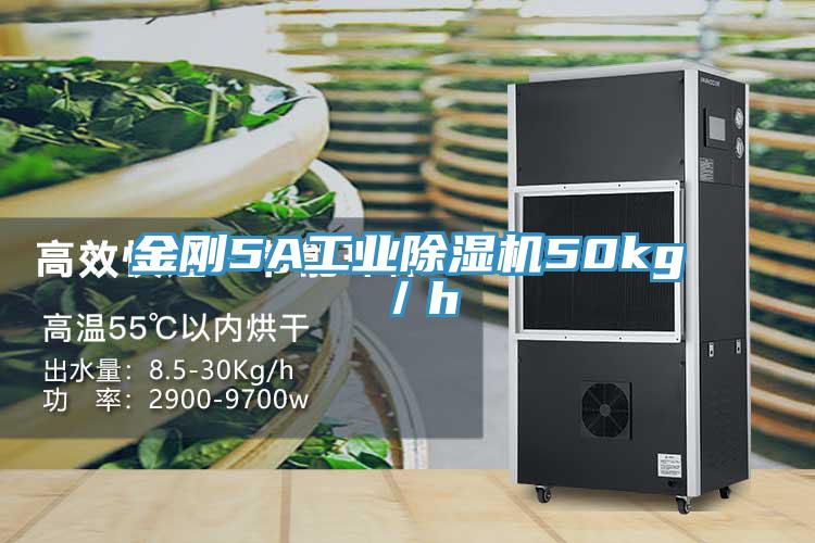 金剛5A工業香蕉视频国产50kg／h