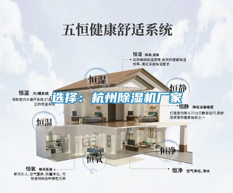 選擇：杭州香蕉视频国产廠家