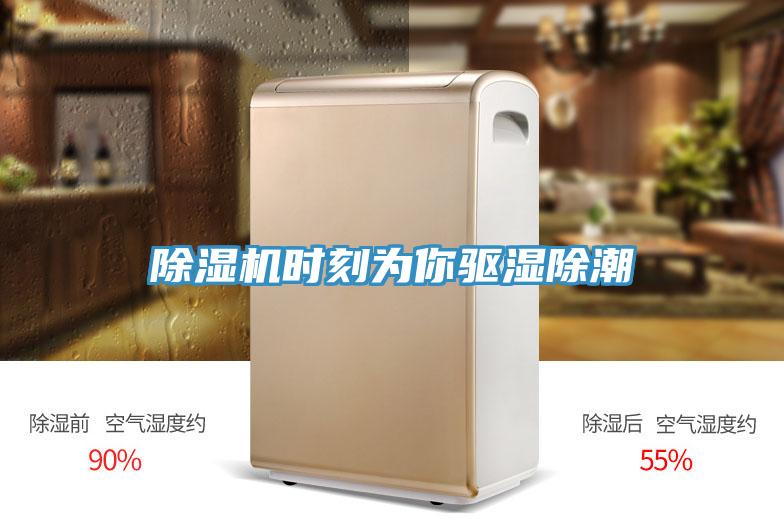 香蕉视频国产時刻為你驅濕除潮