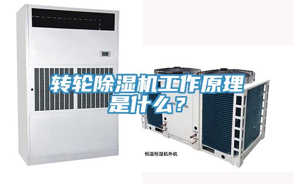轉輪香蕉视频国产工作原理是什麽？
