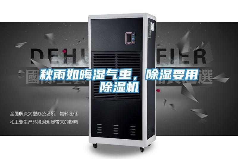 秋雨如晦濕氣重，除濕要用香蕉视频国产