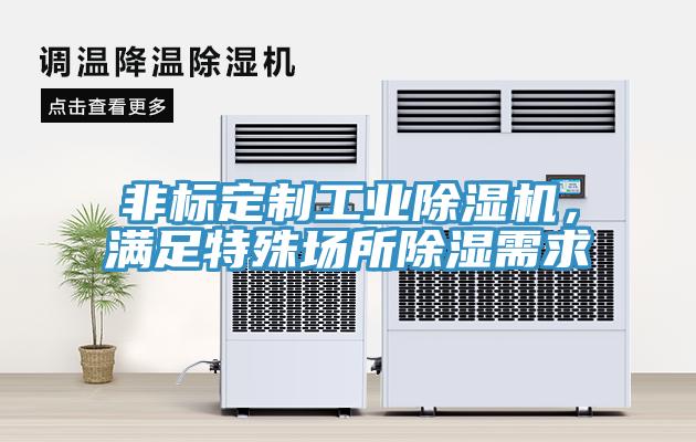 非標定製工業香蕉视频国产，滿足特殊場所除濕需求