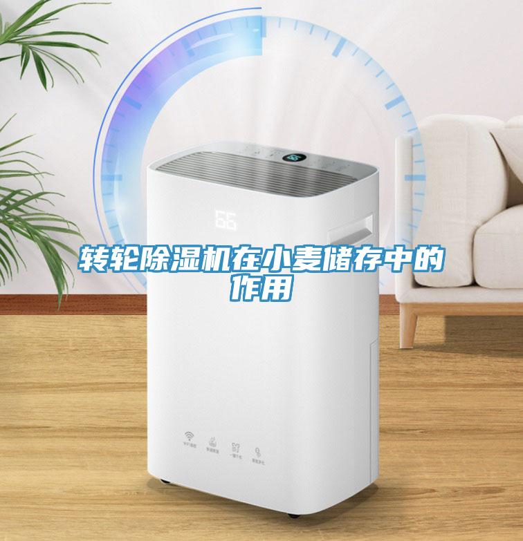 轉輪香蕉视频国产在小麥儲存中的作用