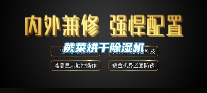 蕨菜烘幹香蕉视频国产