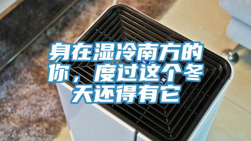 身在濕冷南方的你，度過這個冬天還得有它