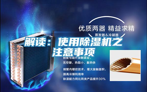 解讀：使用香蕉视频国产之注意事項