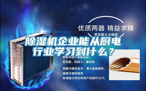 香蕉视频国产企業能從廚電行業學習到什麽？