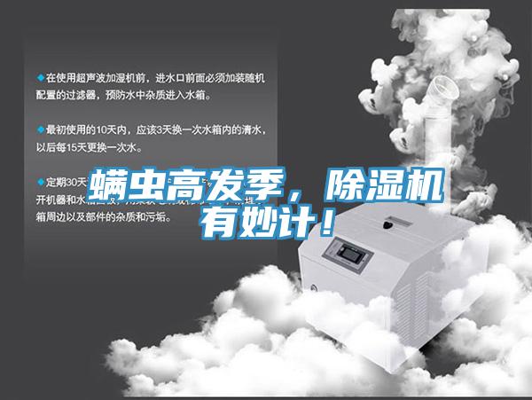 蟎蟲高發季，香蕉视频国产有妙計！