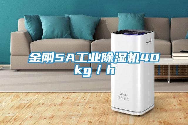 金剛5A工業香蕉视频国产40kg／h
