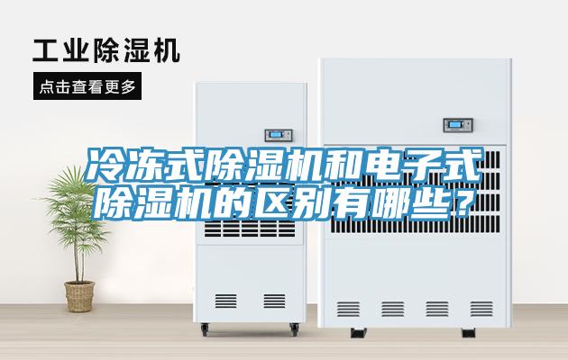 冷凍式香蕉视频国产和電子式香蕉视频国产的區別有哪些？