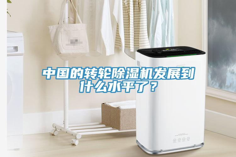 中國的轉輪香蕉视频国产發展到什麽水平了？