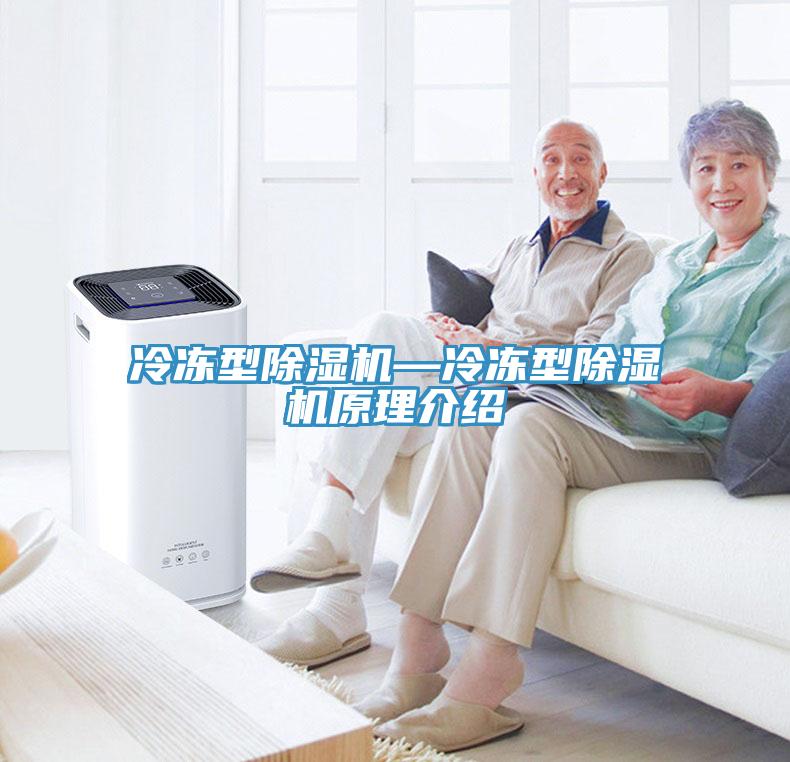 冷凍型香蕉视频国产—冷凍型香蕉视频国产原理介紹