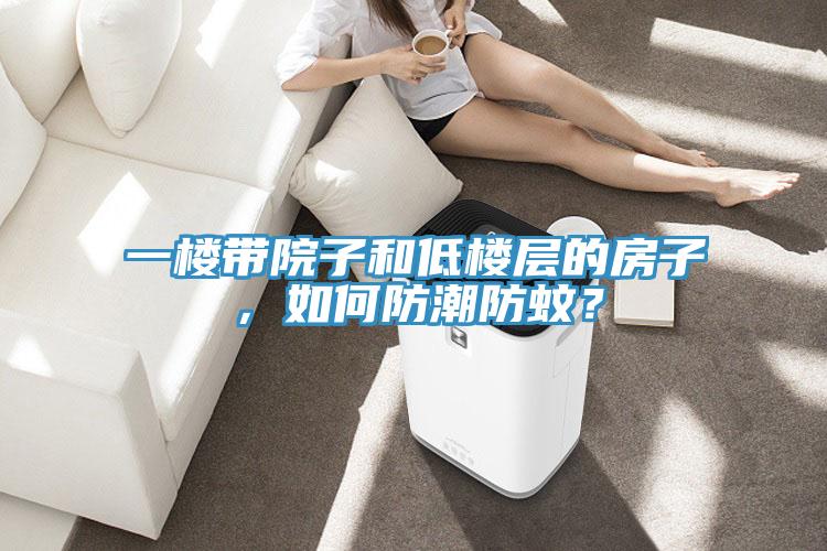 一樓帶院子和低樓層的房子，如何防潮防蚊？