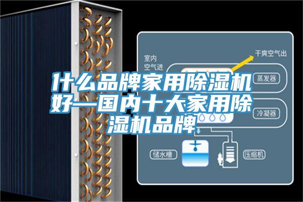 什麽品牌家用香蕉视频国产好—國內十大家用香蕉视频国产品牌