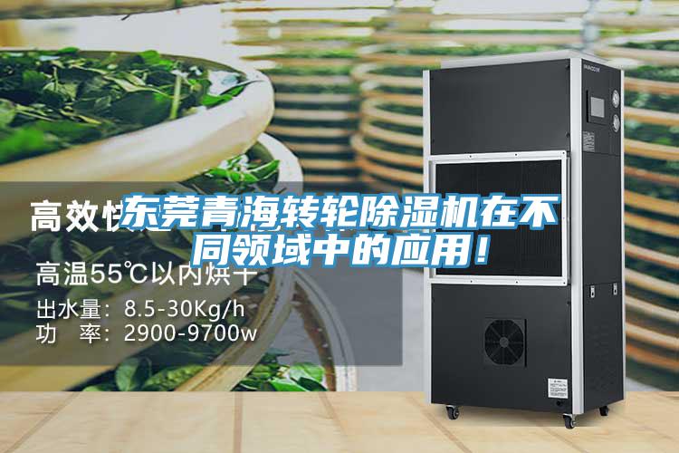 東莞青海轉輪香蕉视频国产在不同領域中的應用！