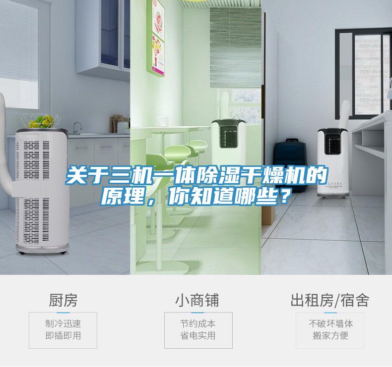 關於三機一體除濕幹燥機的原理，你知道哪些？
