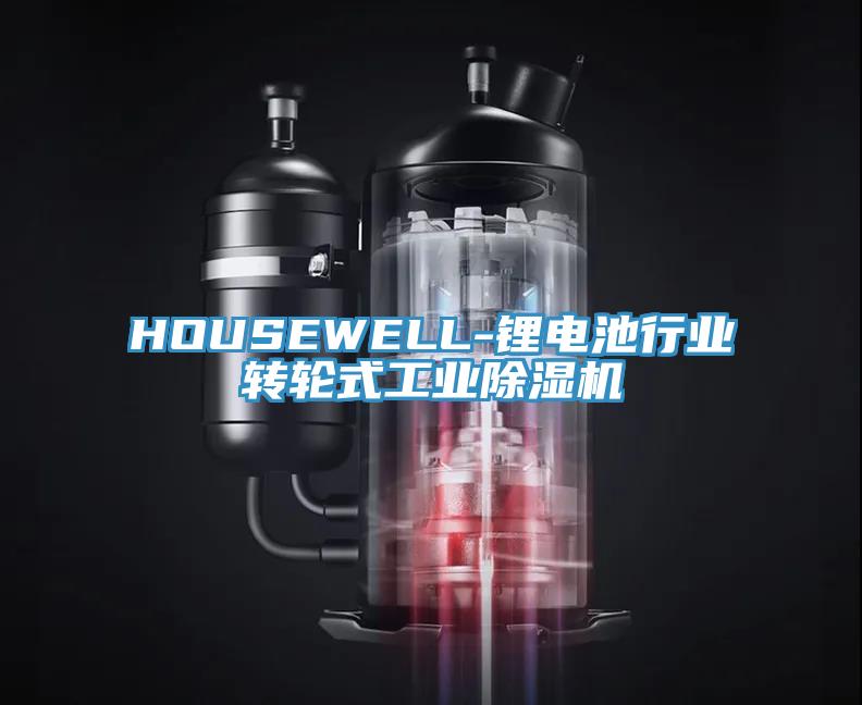 HOUSEWELL-鋰電池行業轉輪式工業香蕉视频国产