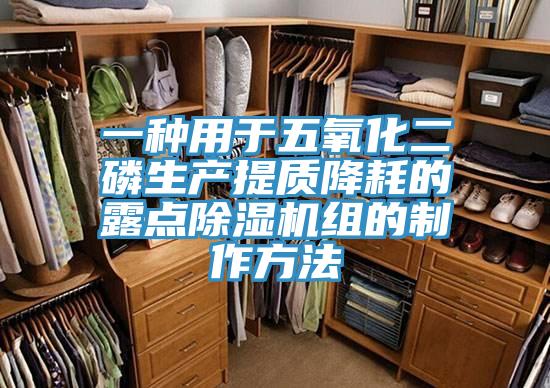 一種用於五氧化二磷生產提質降耗的露點香蕉视频国产組的製作方法