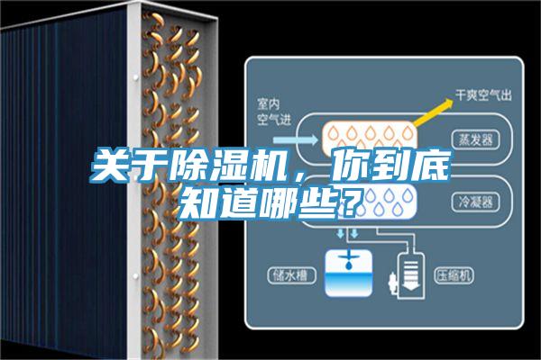 關於香蕉视频国产，你到底知道哪些？