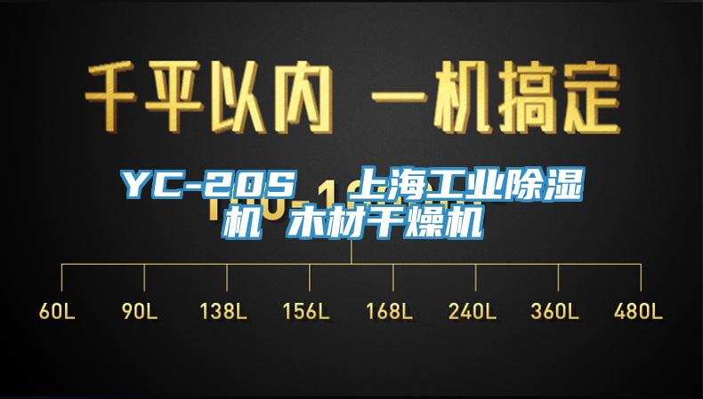YC-20S  上海工業香蕉视频国产 木材幹燥機