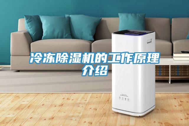 冷凍香蕉视频国产的工作原理介紹