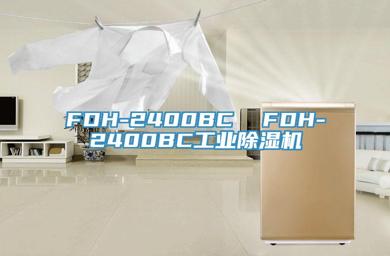 FDH-2400BC  FDH-2400BC工業香蕉视频国产