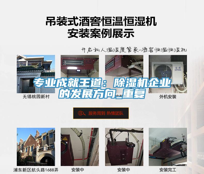 專業成就王道：香蕉视频国产企業的發展方向_重複