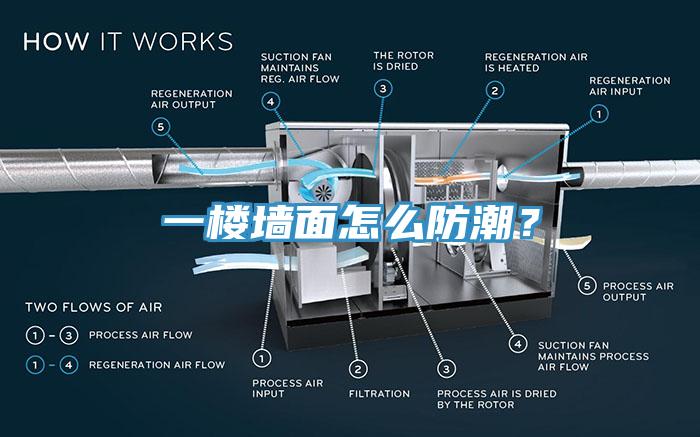 一樓牆麵怎麽防潮？