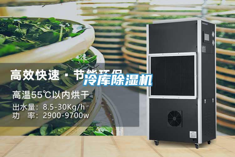 冷庫香蕉视频国产