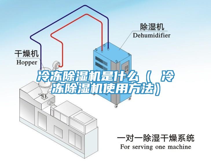 冷凍香蕉视频国产是什麽（ 冷凍香蕉视频国产使用方法）