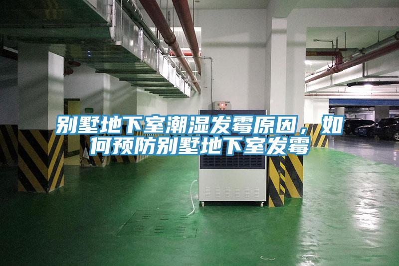 別墅地下室潮濕發黴原因，如何預防別墅地下室發黴